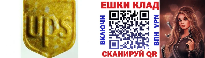 Ecstasy бентли  Иноземцево 