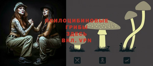 гашиш Абаза