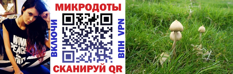 гидра ссылки  Иноземцево  Псилоцибиновые грибы Cubensis 