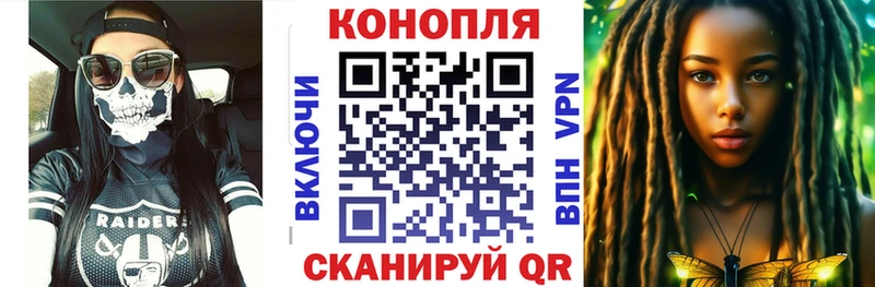 где продают наркотики  Иноземцево  Каннабис индика 